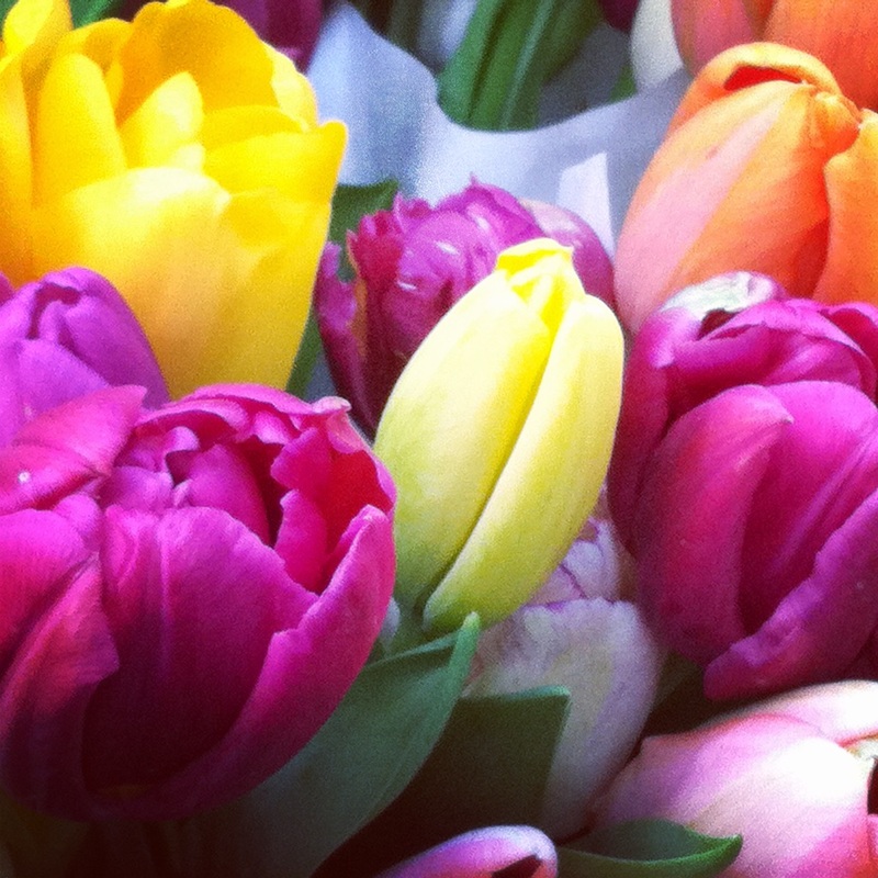 May Flowers - Shady Grove Gardens & Nursery- Florist and Flower Farmers